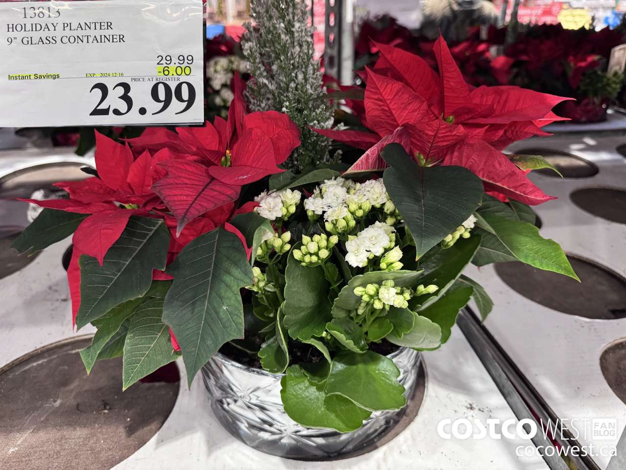 13813 HOLIDAY PLANTER 9