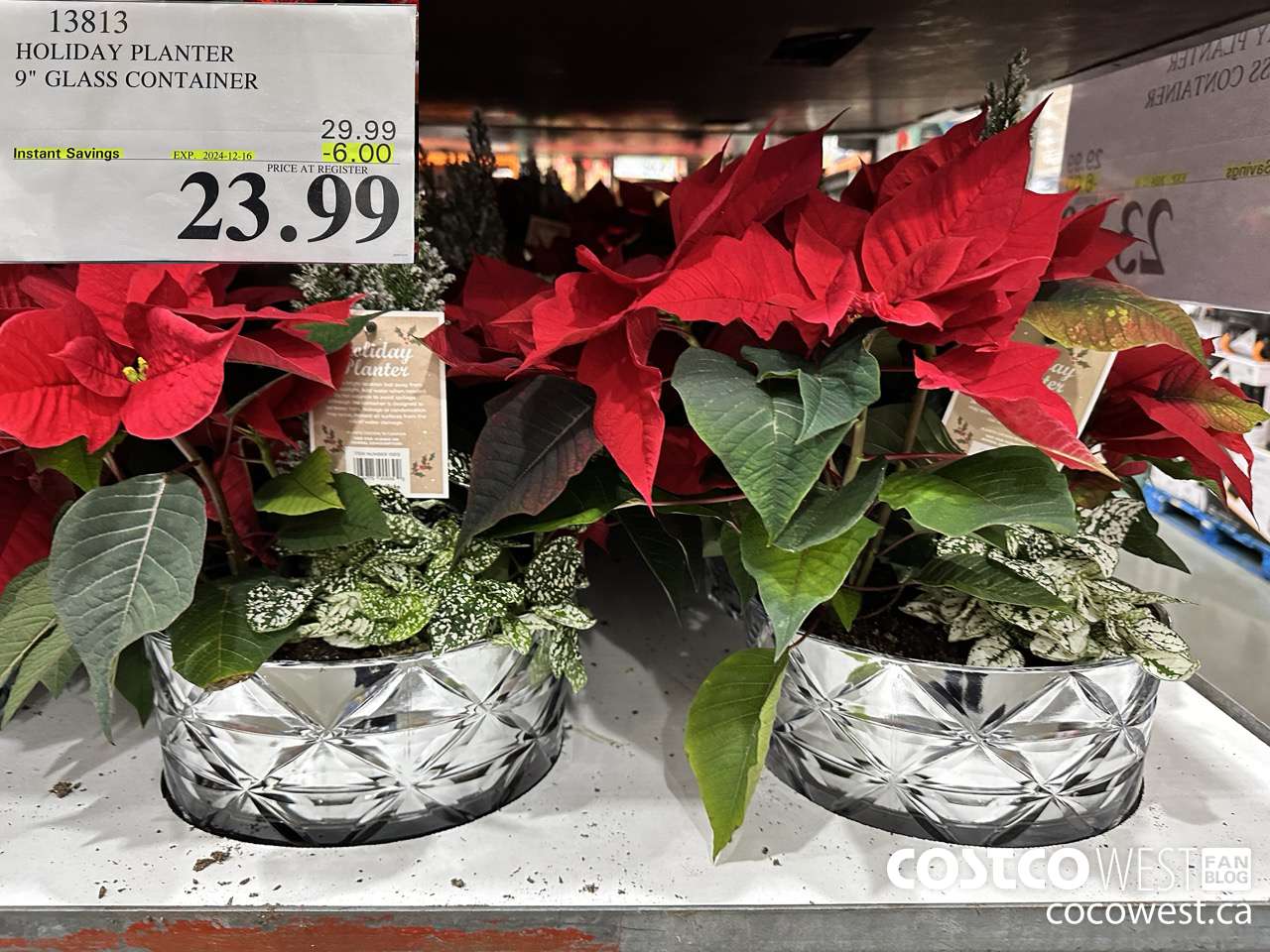 13813 HOLIDAY PLANTER 9