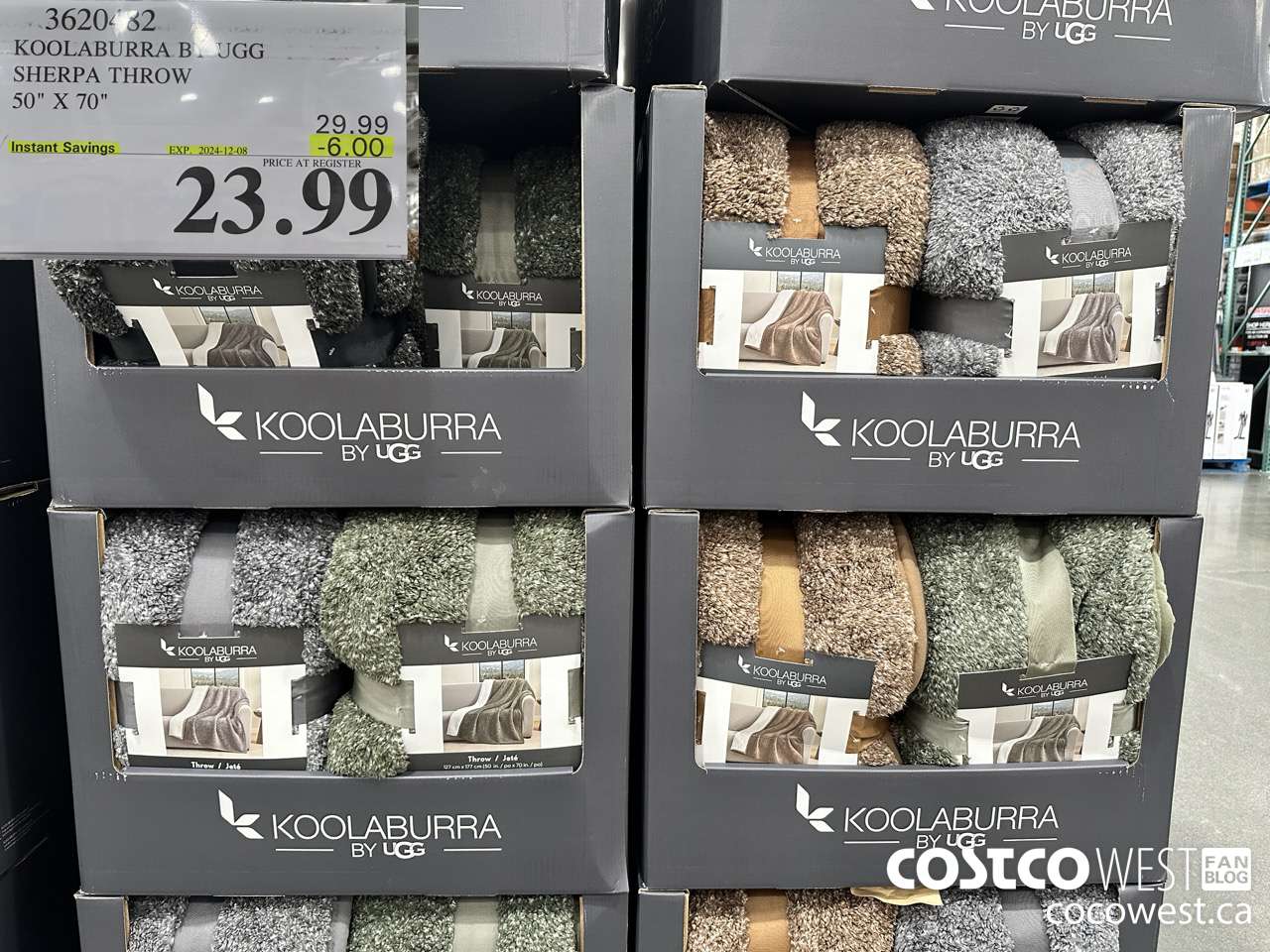 3620482 KOOLABURRA BY UGG SHERPA THROW 50