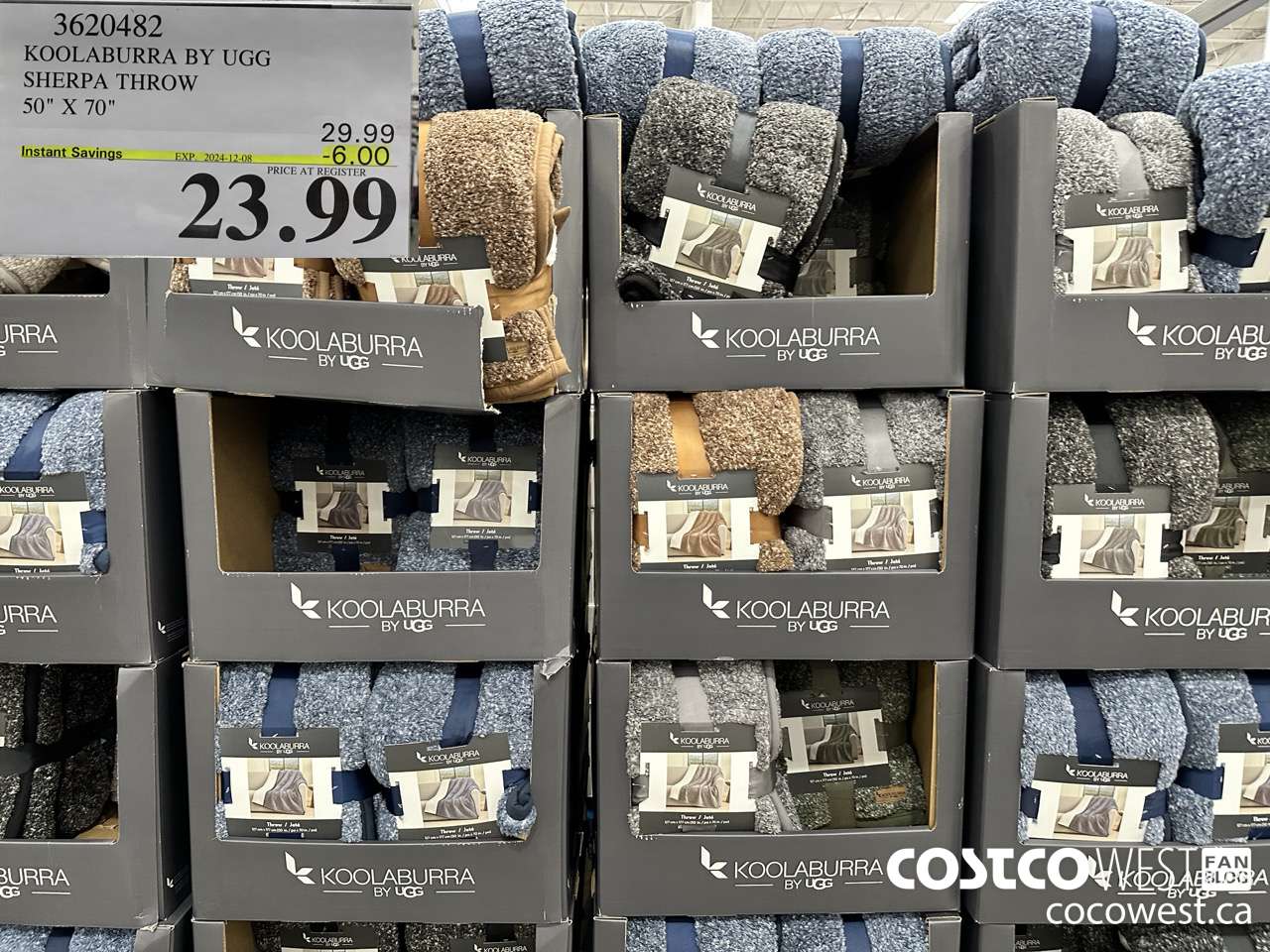 3620482 KOOLABURRA BY UGG SHERPA THROW 50