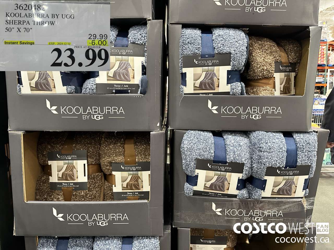 3620482 KOOLABURRA BY UGG SHERPA THROW 50