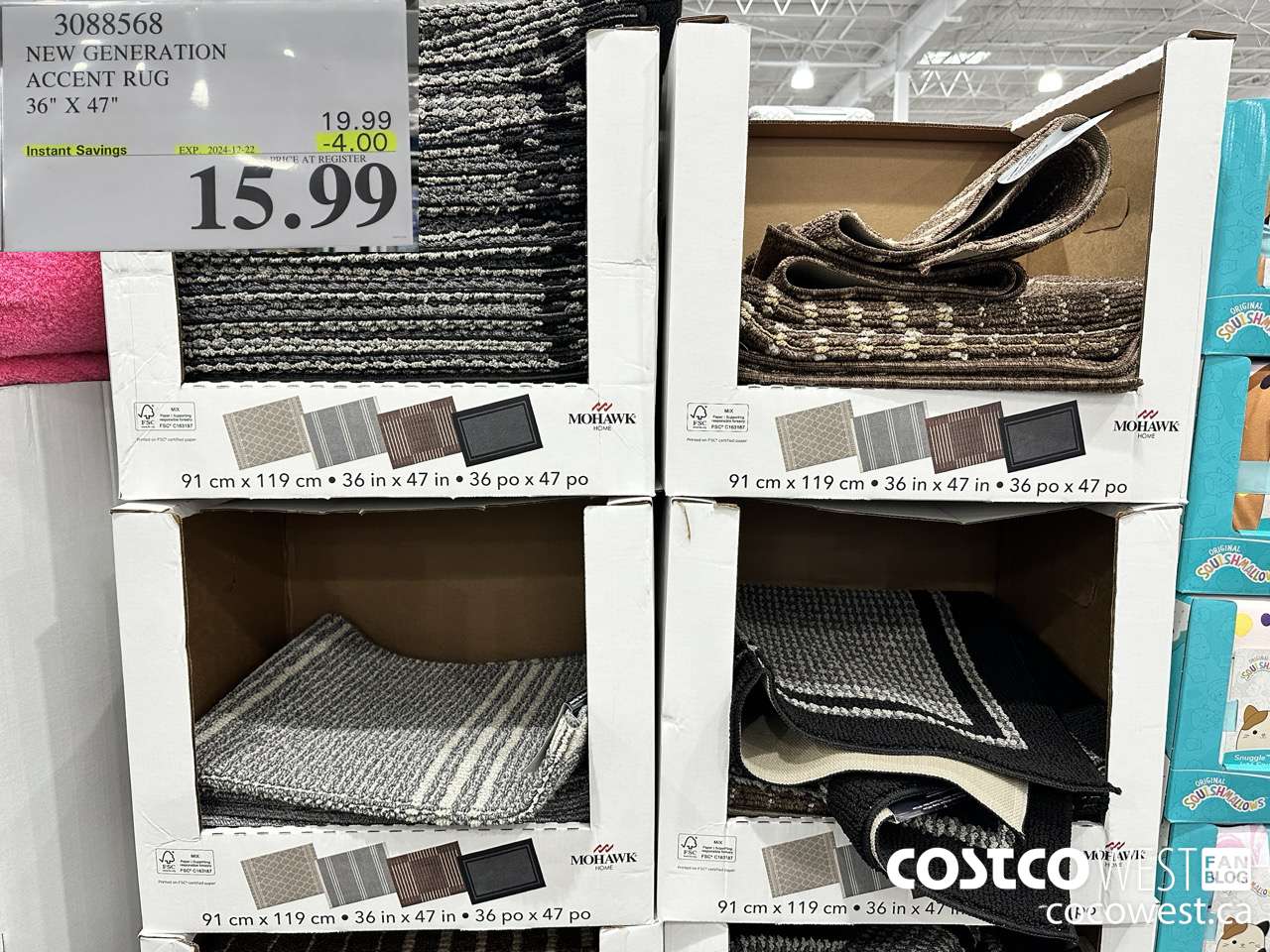 3088568 NEW GENERATION ACCENT RUG 36