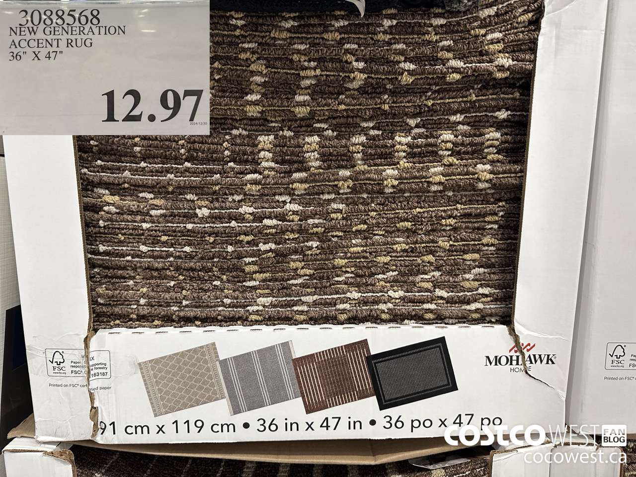 3088568 NEW GENERATION ACCENT RUG 36