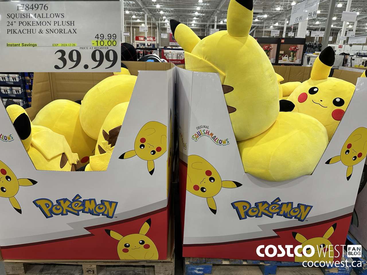 1784976 SQUISHMALLOWS 24