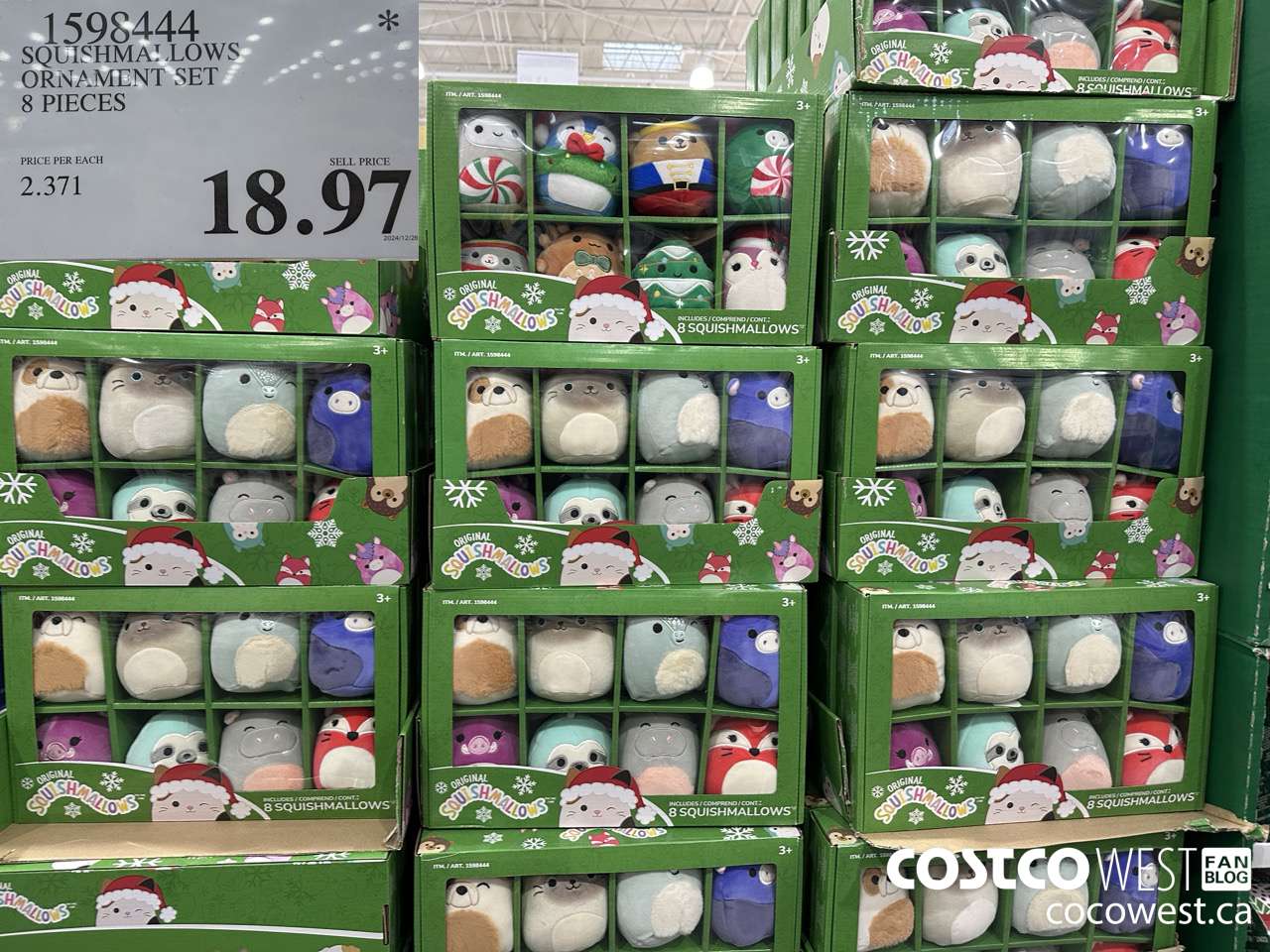 1598444 SQUISHMALLOWS 4