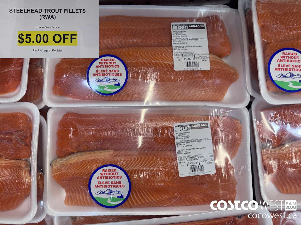 32605 STEELHEAD TROUT FILLETS ($5.00 INSTANT SAVINGS)