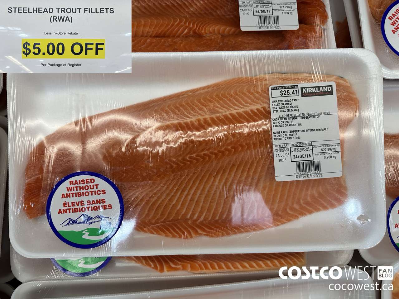 32605 STEELHEAD TROUT FILLETS ($5.00 INSTANT SAVINGS)