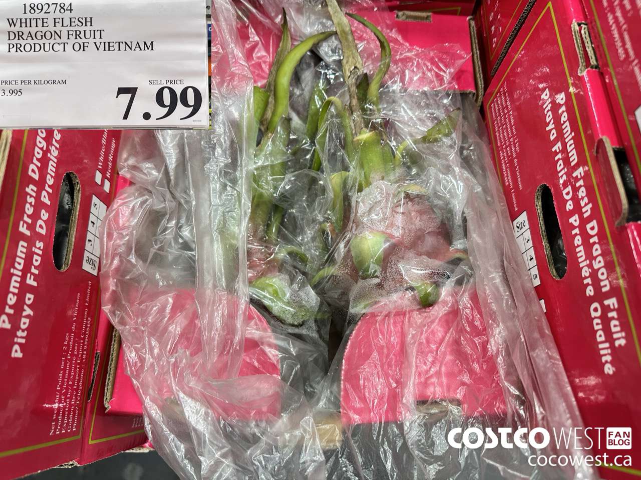 1892784 WHITE FLESH DRAGON FRUIT PRODUCT OF VIETNAM $7.99