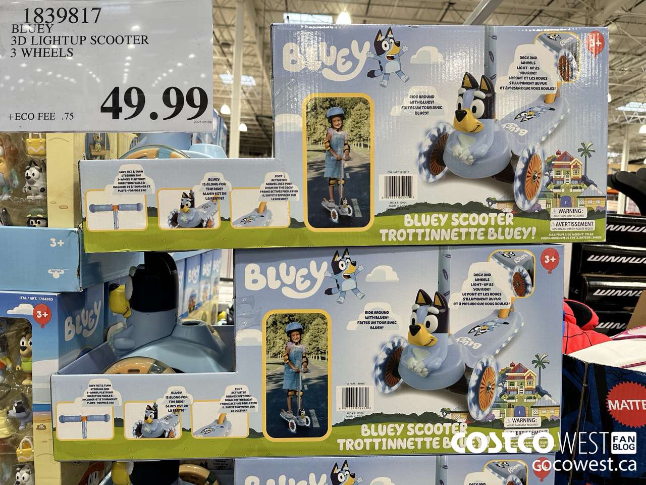 1839817 BLUEY 3D LIGHTUP SCOOTER 3 WHEELS $49.99