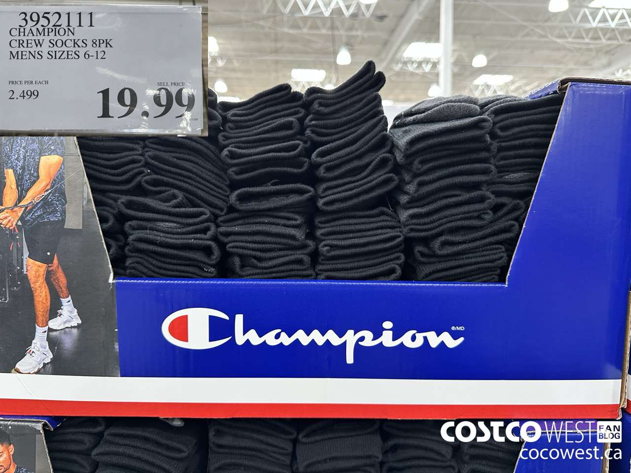 3952111 CHAMPION CREW SOCKS 8PK MENS SIZES 6-12 $19.99