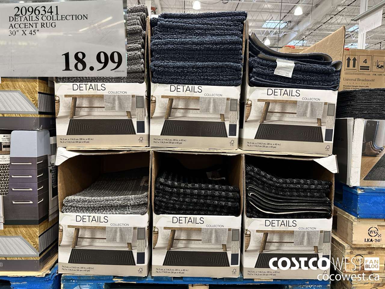 2096341 DETAILS COLLECTION ACCENT RUG 30