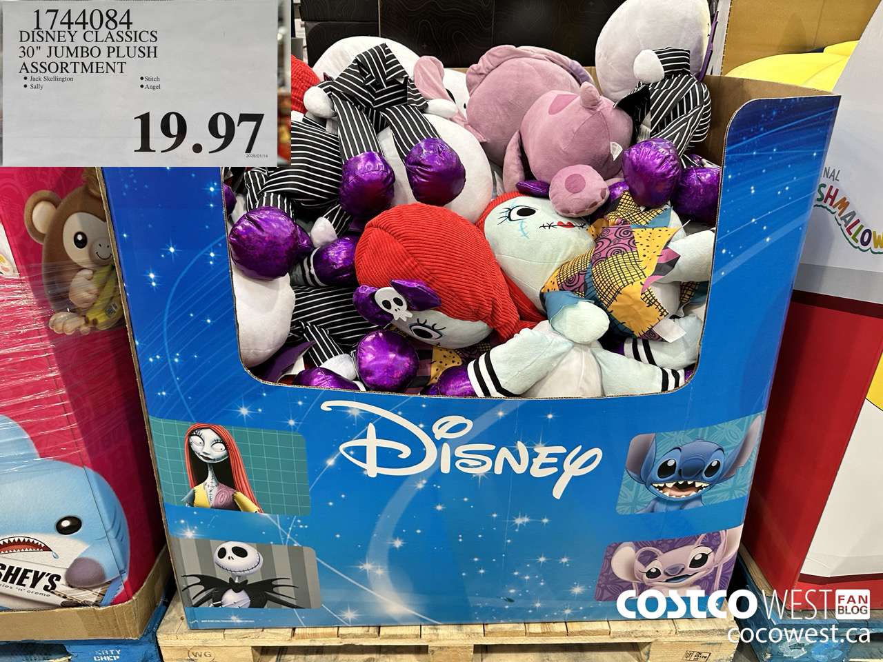 1744084 DISNEY CLASSIC 30