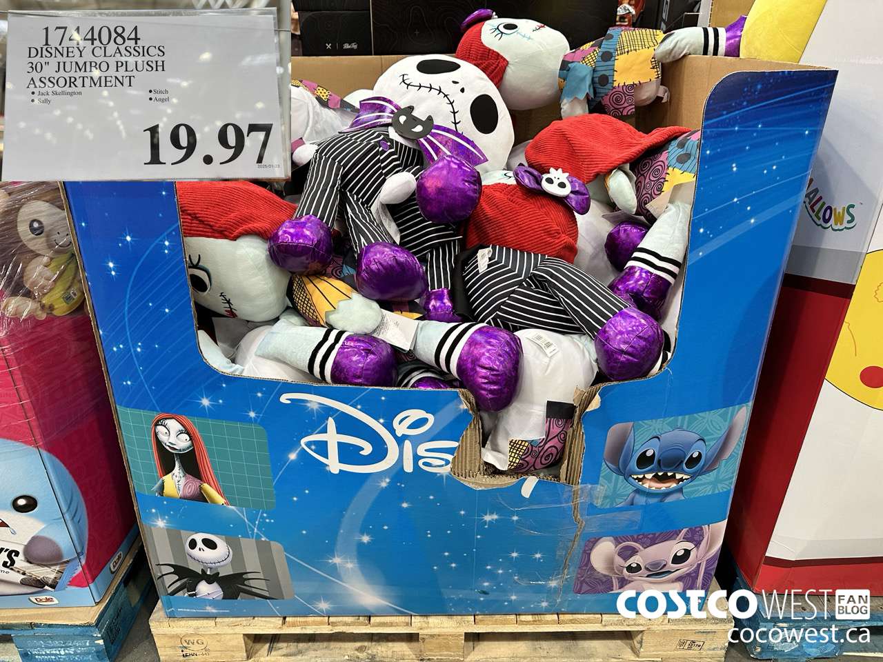 1744084 DISNEY CLASSIC 30