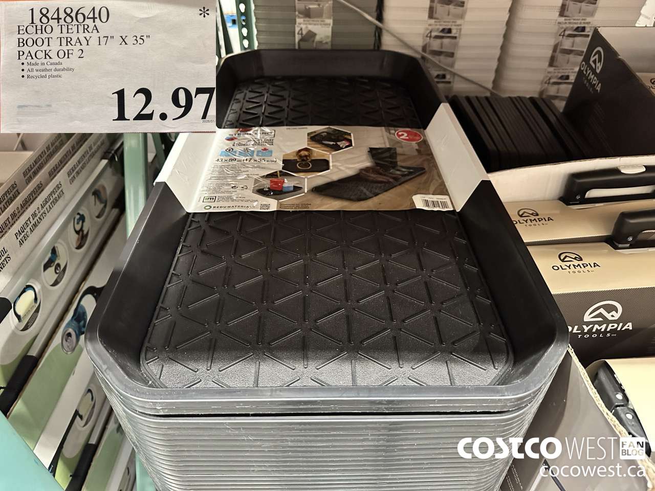 1848640 ECHO TETRA BOOT TRAY 17