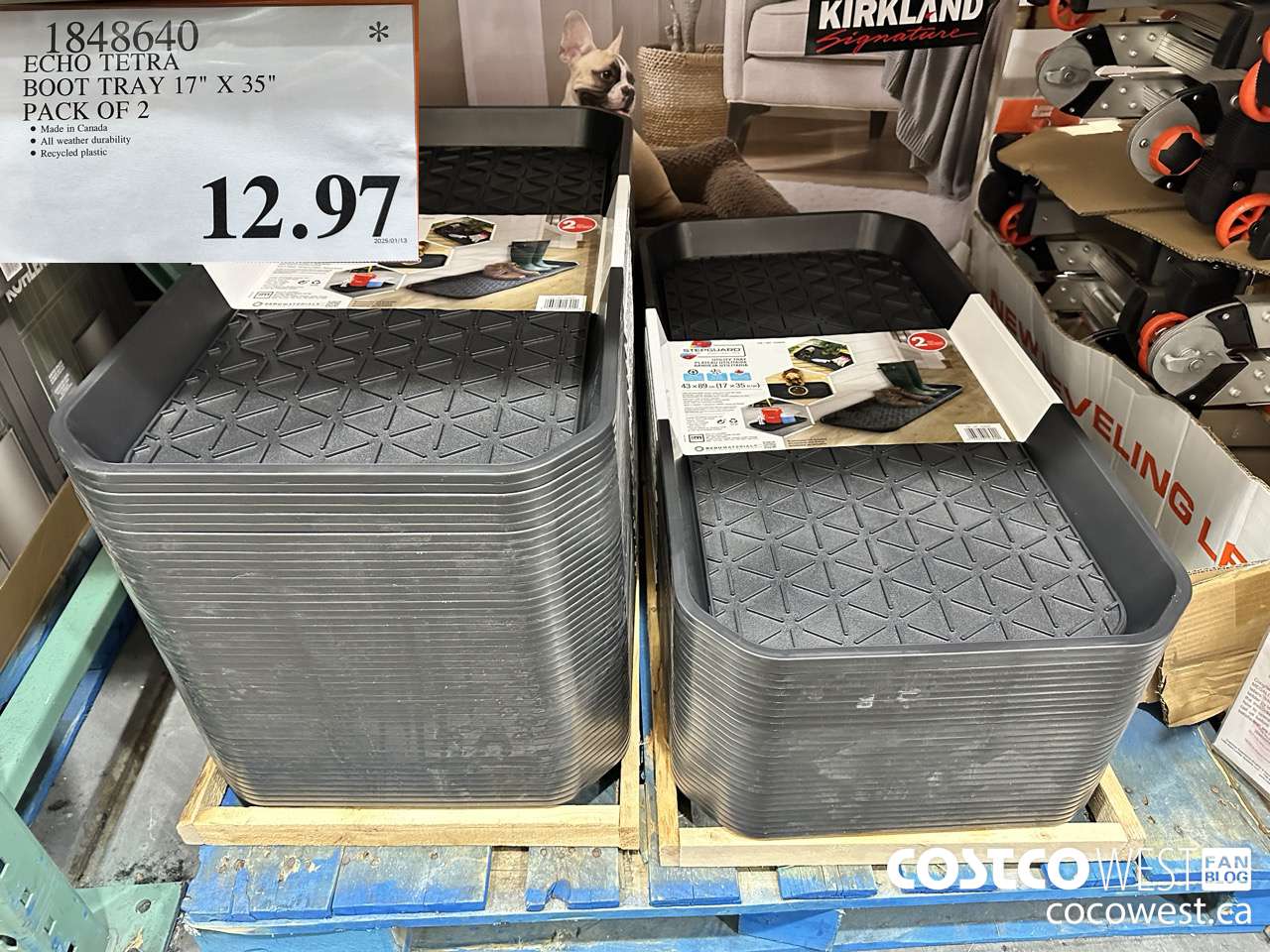 1848640 ECHO TETRA BOOT TRAY 17