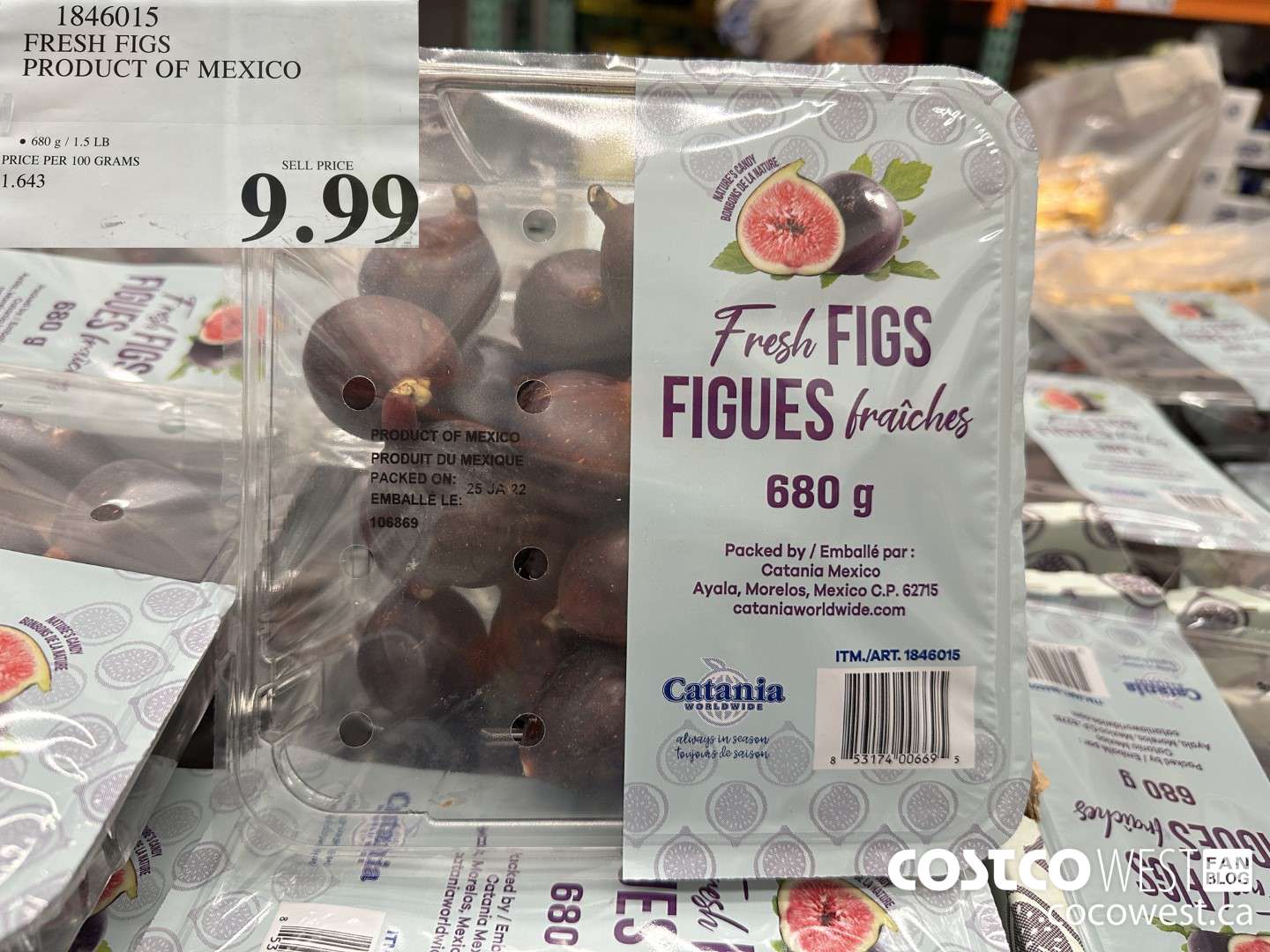 1846015 FRESH FIGS PRODUCT OF MEXICO $9.99