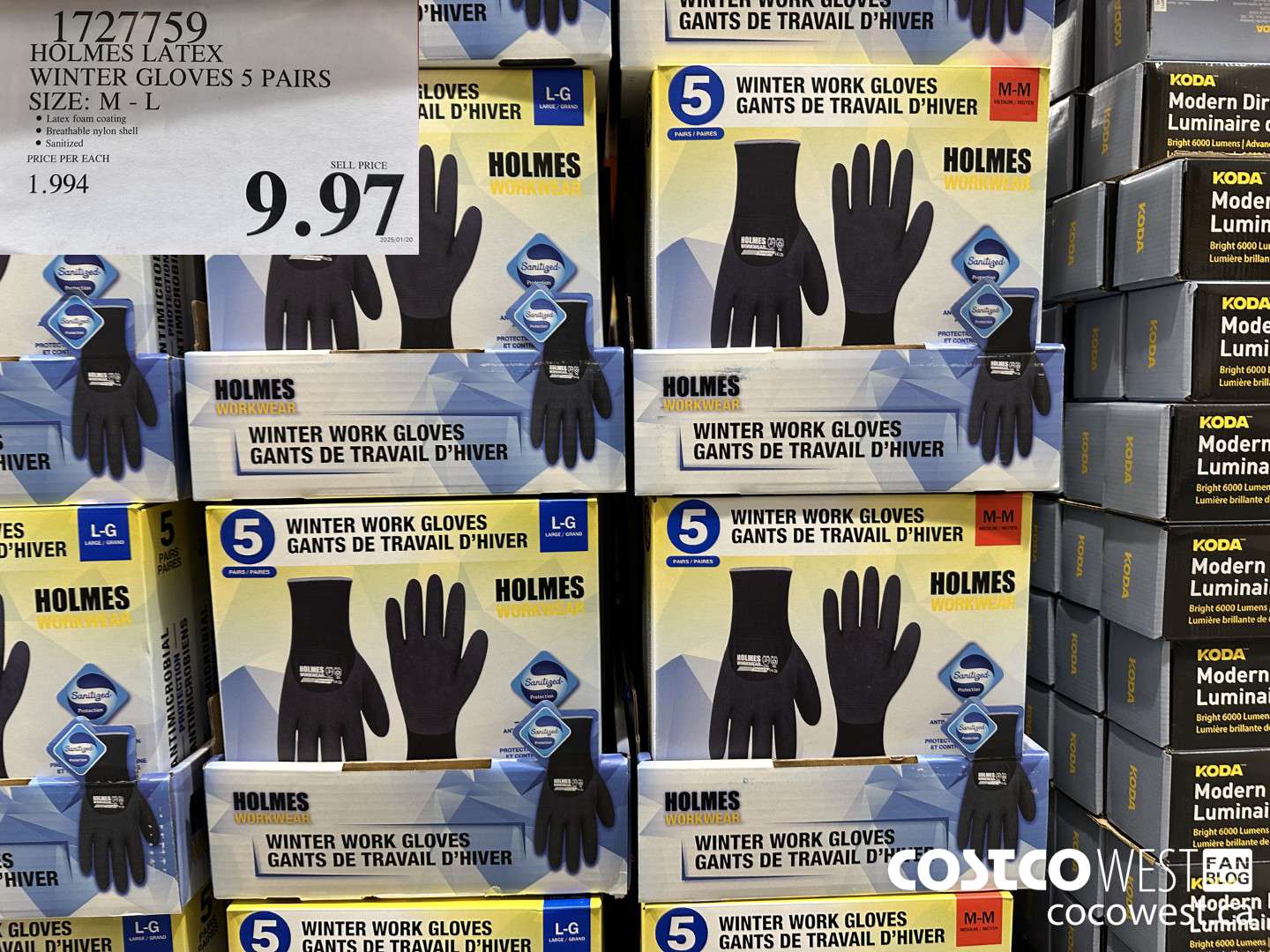 1727759 HOLMES LATEX WINTER GLOVES 5 PAIRS SIZE M-L $9.97