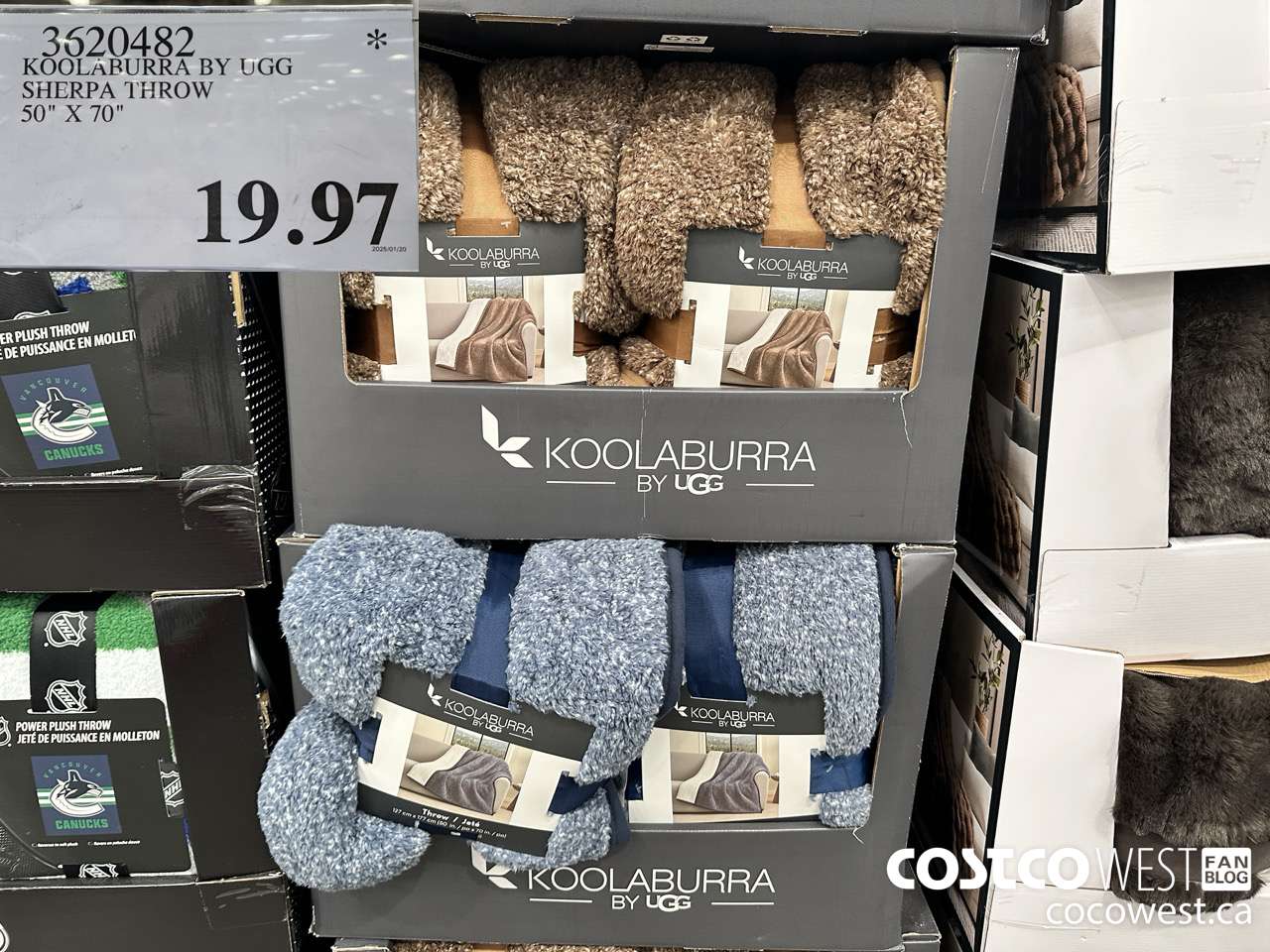 3620482 KOOLABURRA BY UGG SHERPA THROW 50