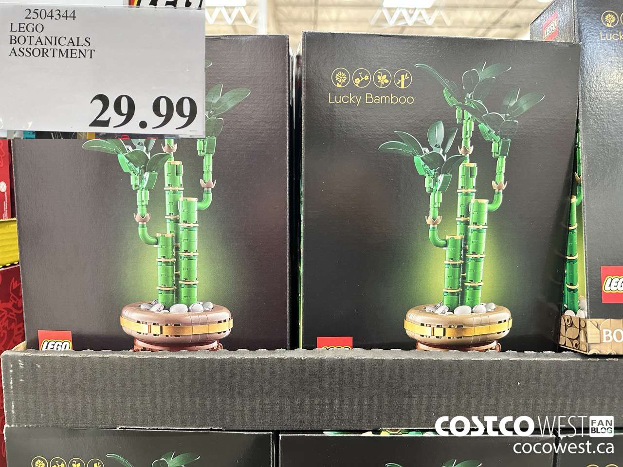 2504344 LEGO BOTANICALS ASSORTMENT $29.99