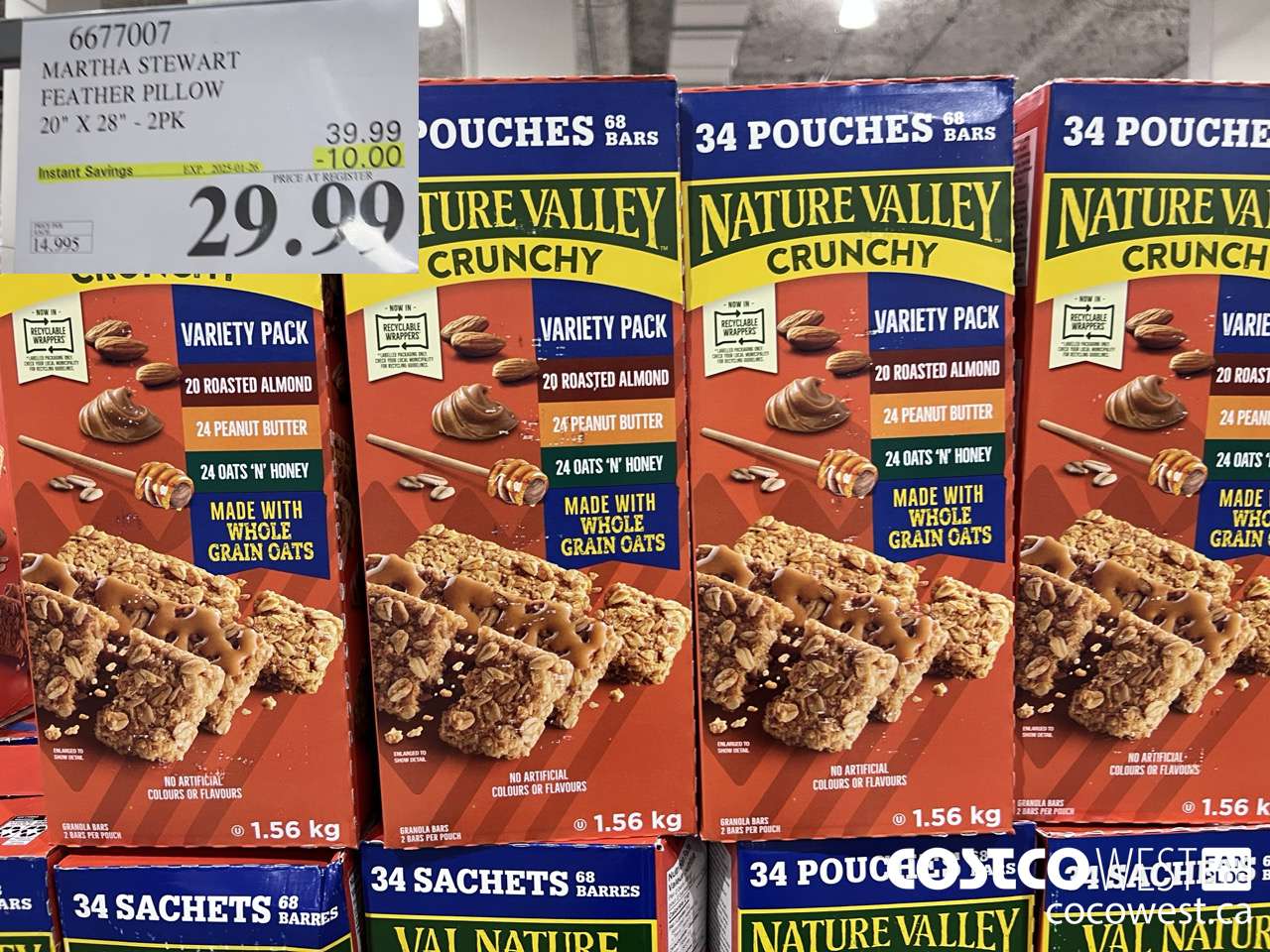 6677007 MARTHA STEWART FEATHER PILLOW 20