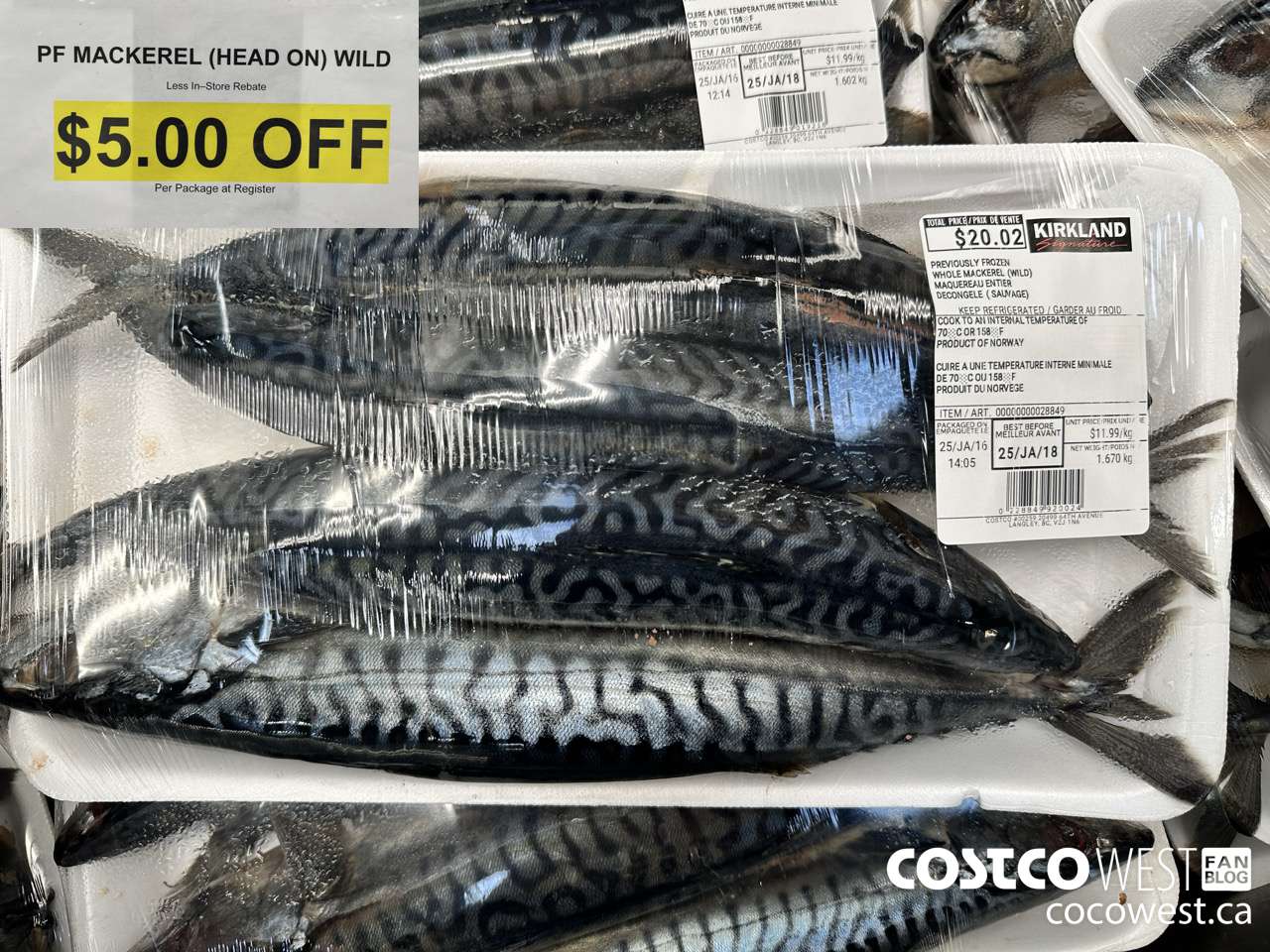 28849 PF MACKEREL (HEAD ON) WILD ($5.00 INSTANT SAVINGS)
