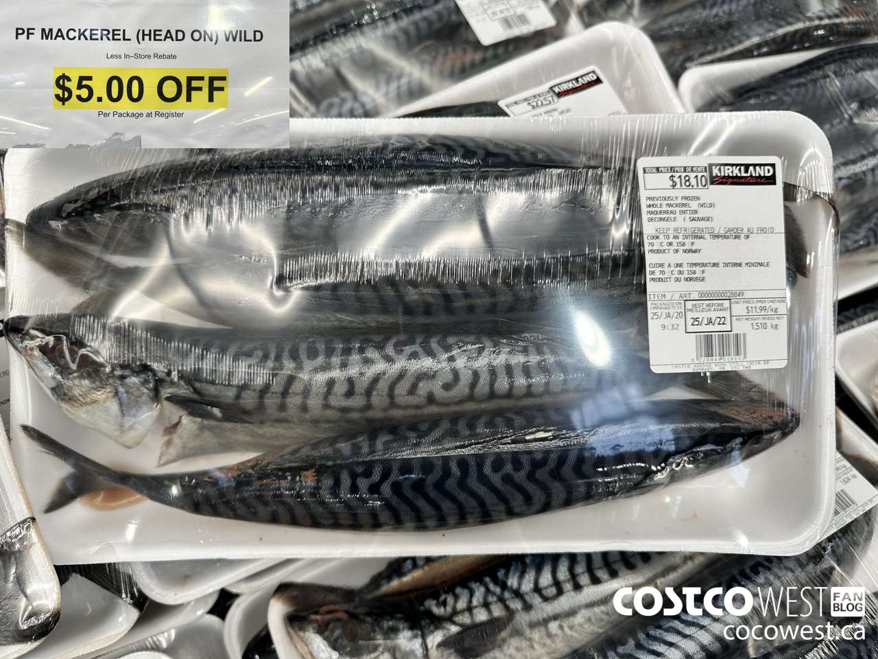 28849 PF MACKEREL (HEAD ON) WILD ($5.00 INSTANT SAVINGS)