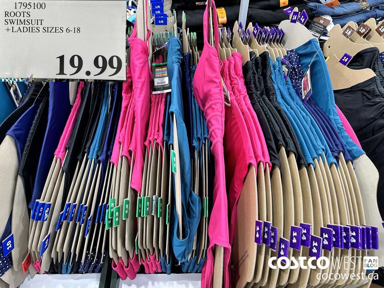 1795100 ROOTS SWIMSUIT LADIES SIZES 6-18 $19.99