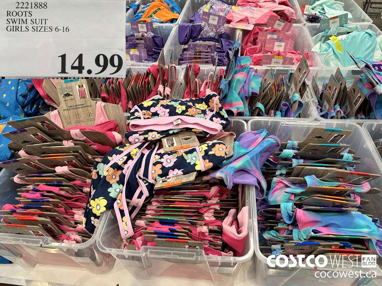 2221888 ROOTS SWIM SUIT GIRLS SIZES 6-16 $14.99