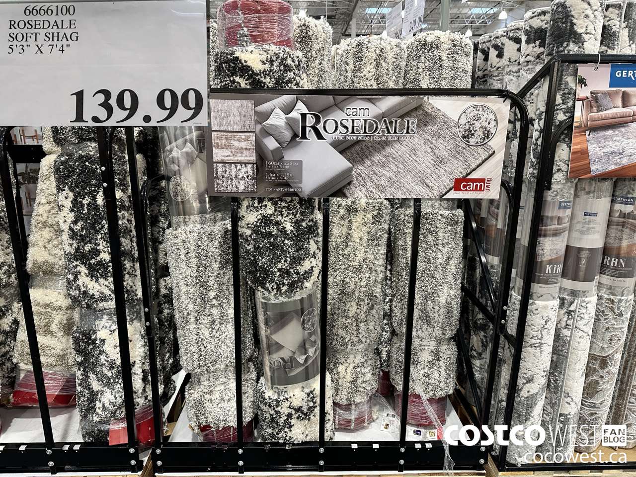 6666100 ROSEDALE SOFT SHAG 5'3