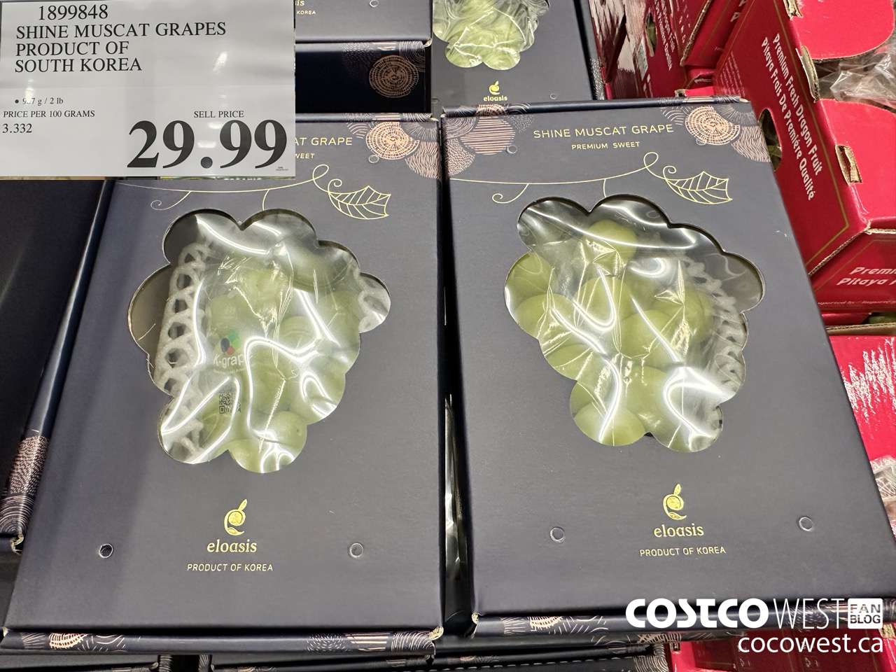 1899848 SHINE MUSCAT GRAPES PRODUCT OF SOUTH KOREA $29.99