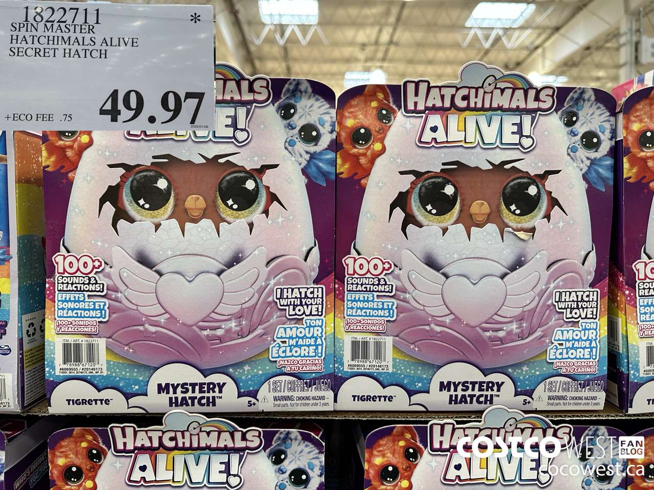 1822711 SPIN MASTER HATCHIMALS ALIVE SECRET HATCH $49.97