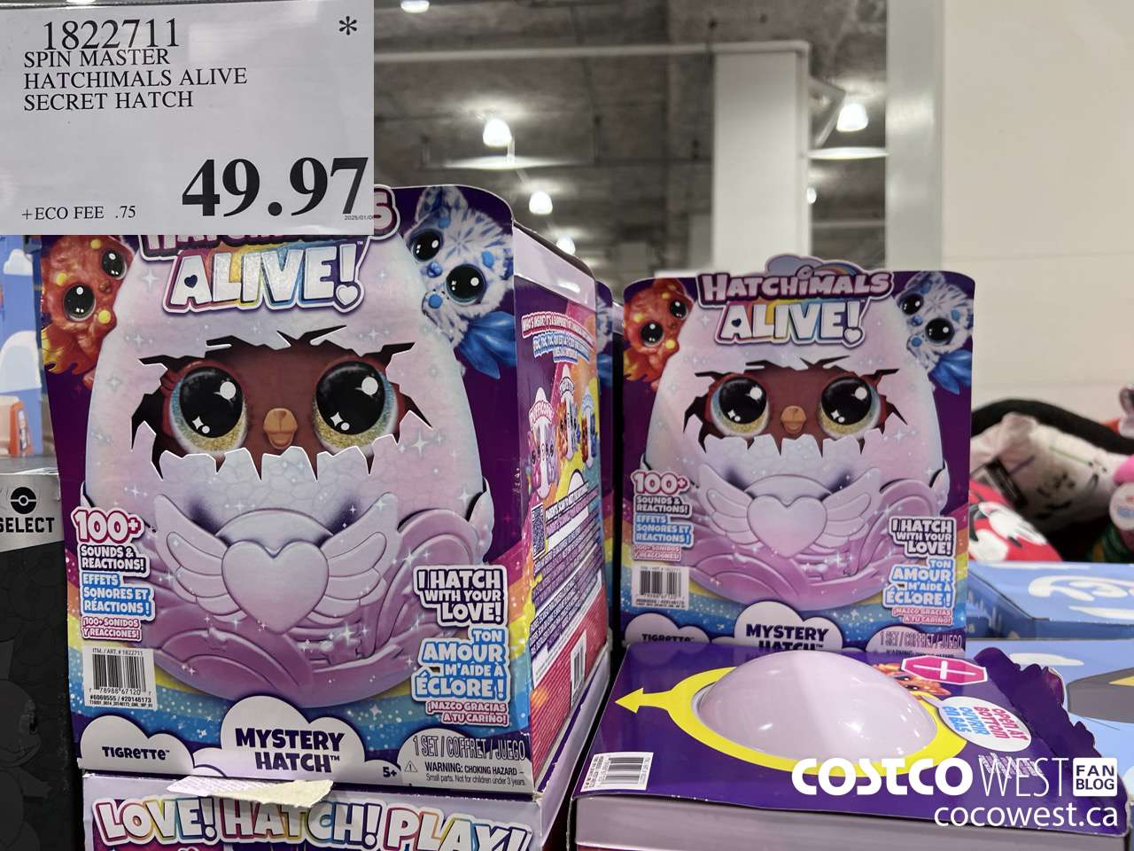 1822711 SPIN MASTER HATCHIMALS ALIVE SECRET HATCH $49.97