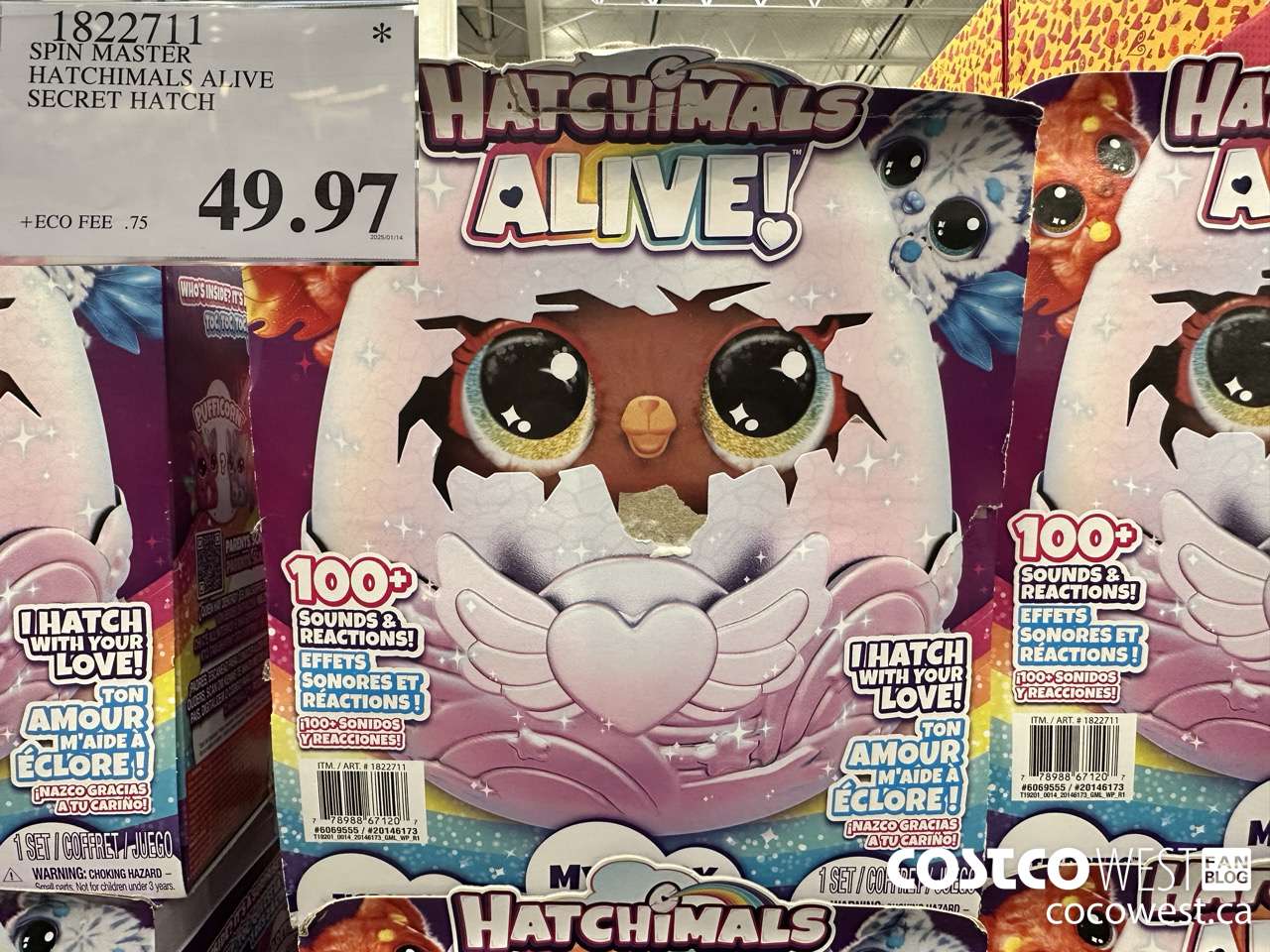1822711 SPIN MASTER HATCHIMALS ALIVE SECRET HATCH $49.97