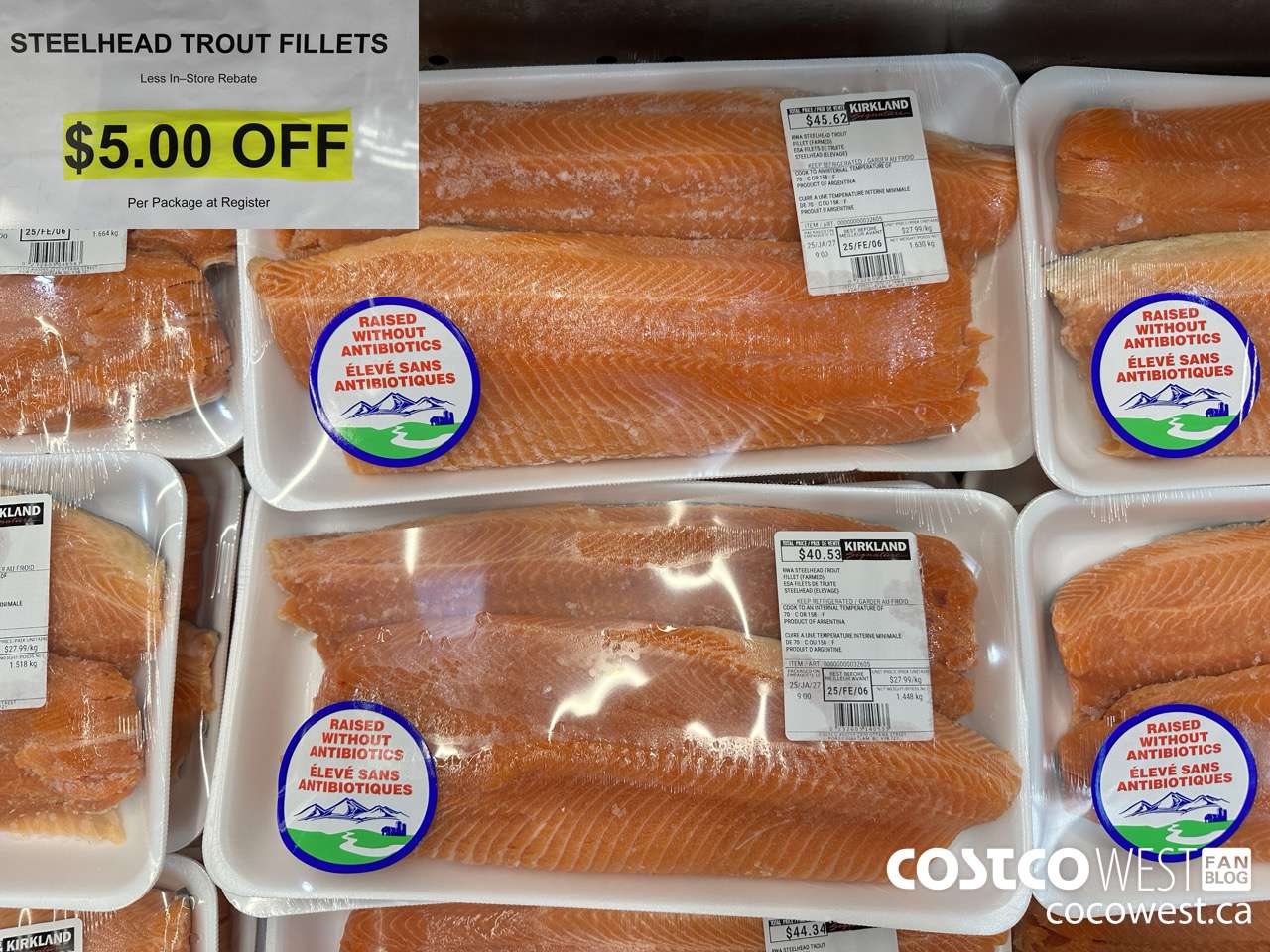32605 STEELHEAD TROUT FILLETS ($5.00 INSTANT SAVINGS)