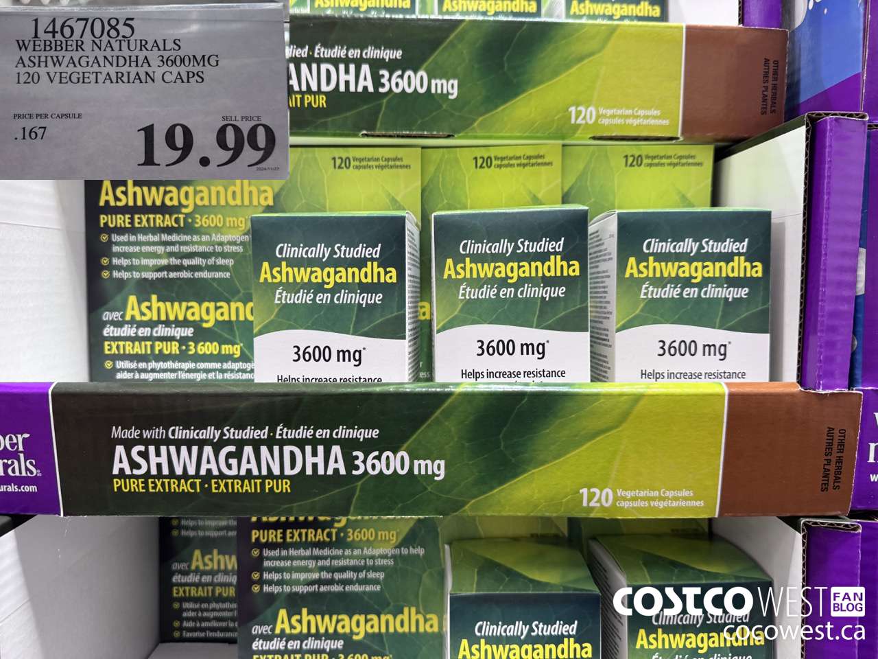 1467085 WEBBER NATURALS ASHWAGANDHA 3600MG 120 VEGETARIAN CAPSULES $19.99