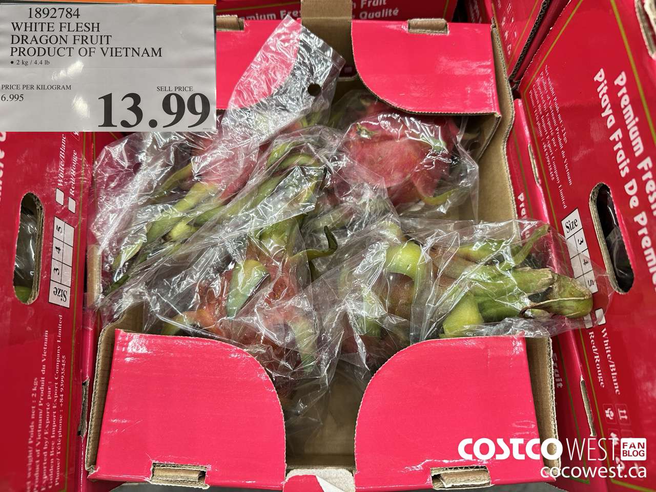 1892784 WHITE FLESH DRAGON FRUIT PRODUCT OF VIETNAM $13.99