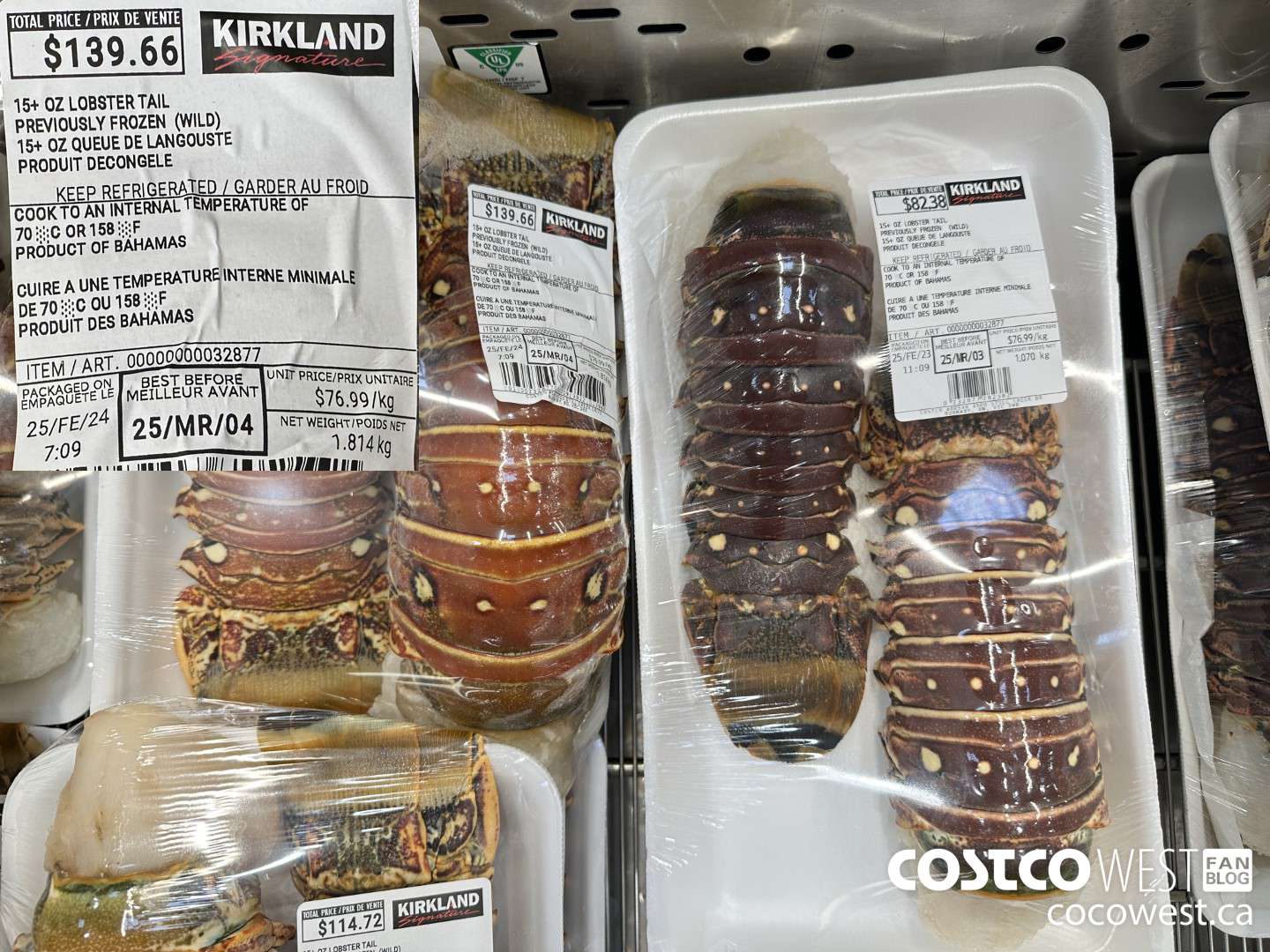 32877 15+ OZ LOBSTER TAIL PREVIOUSLY FROZEN (WILD) $76.99
