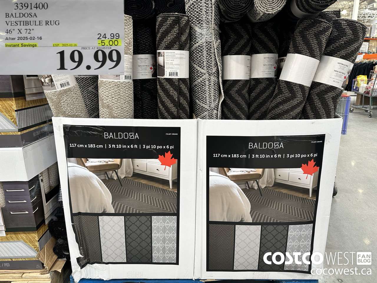 3391400 BALDOSA VESTIBULE RUG 46