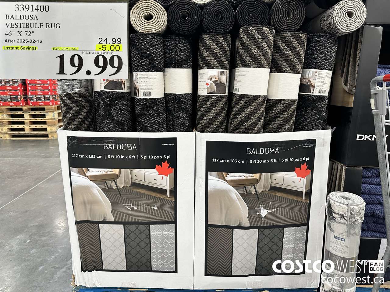 3391400 BALDOSA VESTIBULE RUG 46