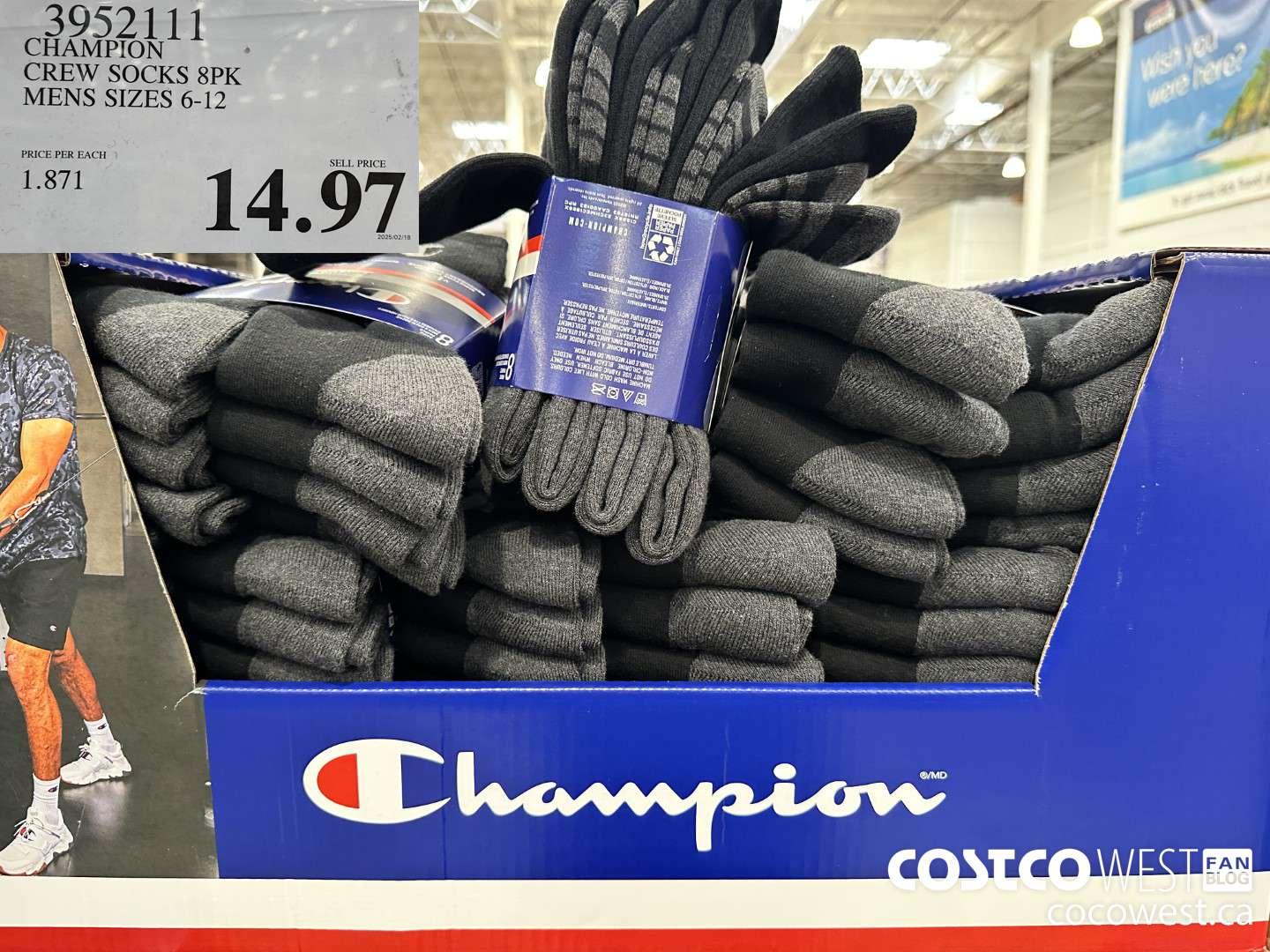 3952111 CHAMPION CREW SOCKS 8PK MENS SIZES 6-12 $14.97