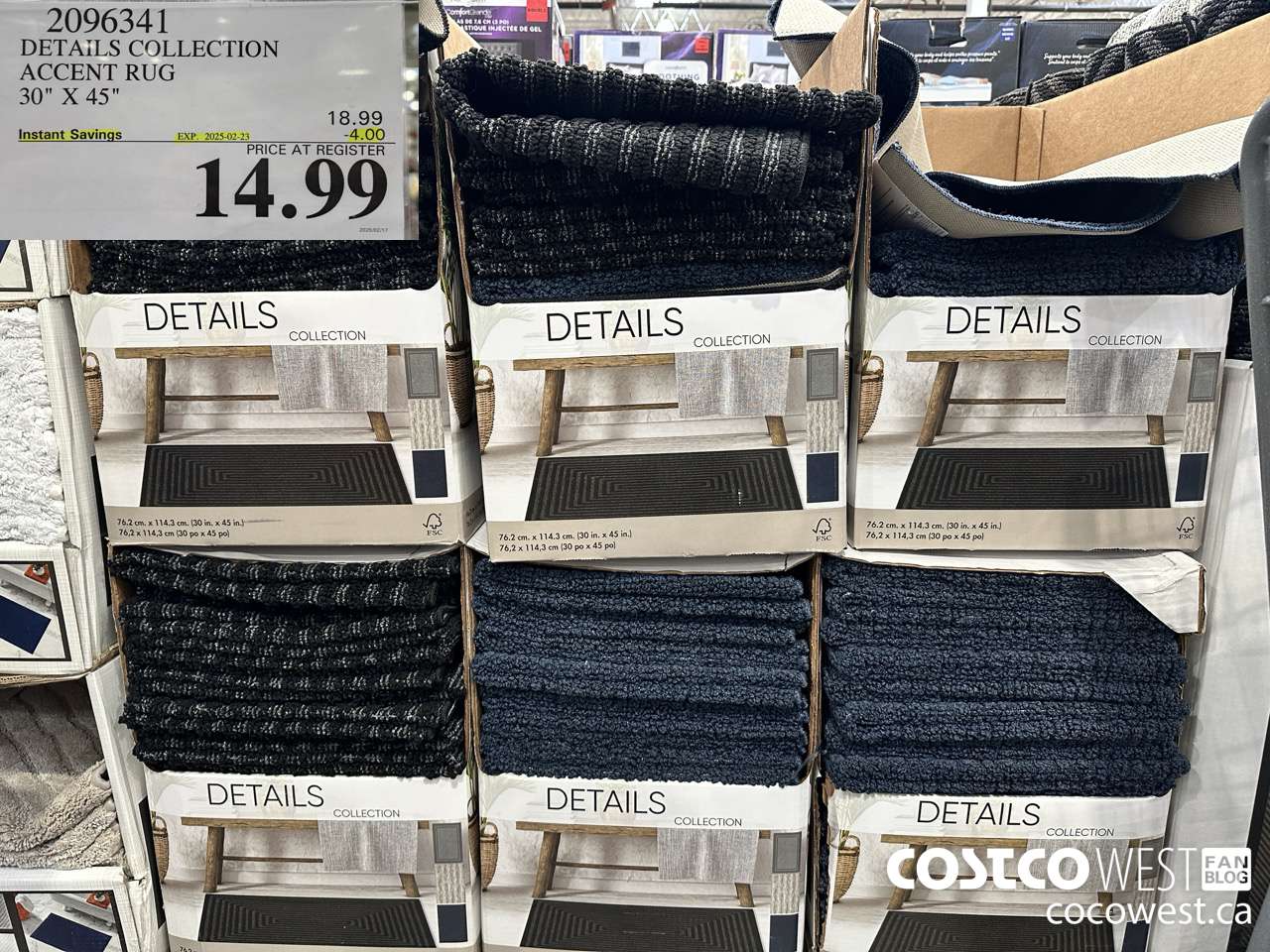 2096341 DETAILS COLLECTION ACCENT RUG 30