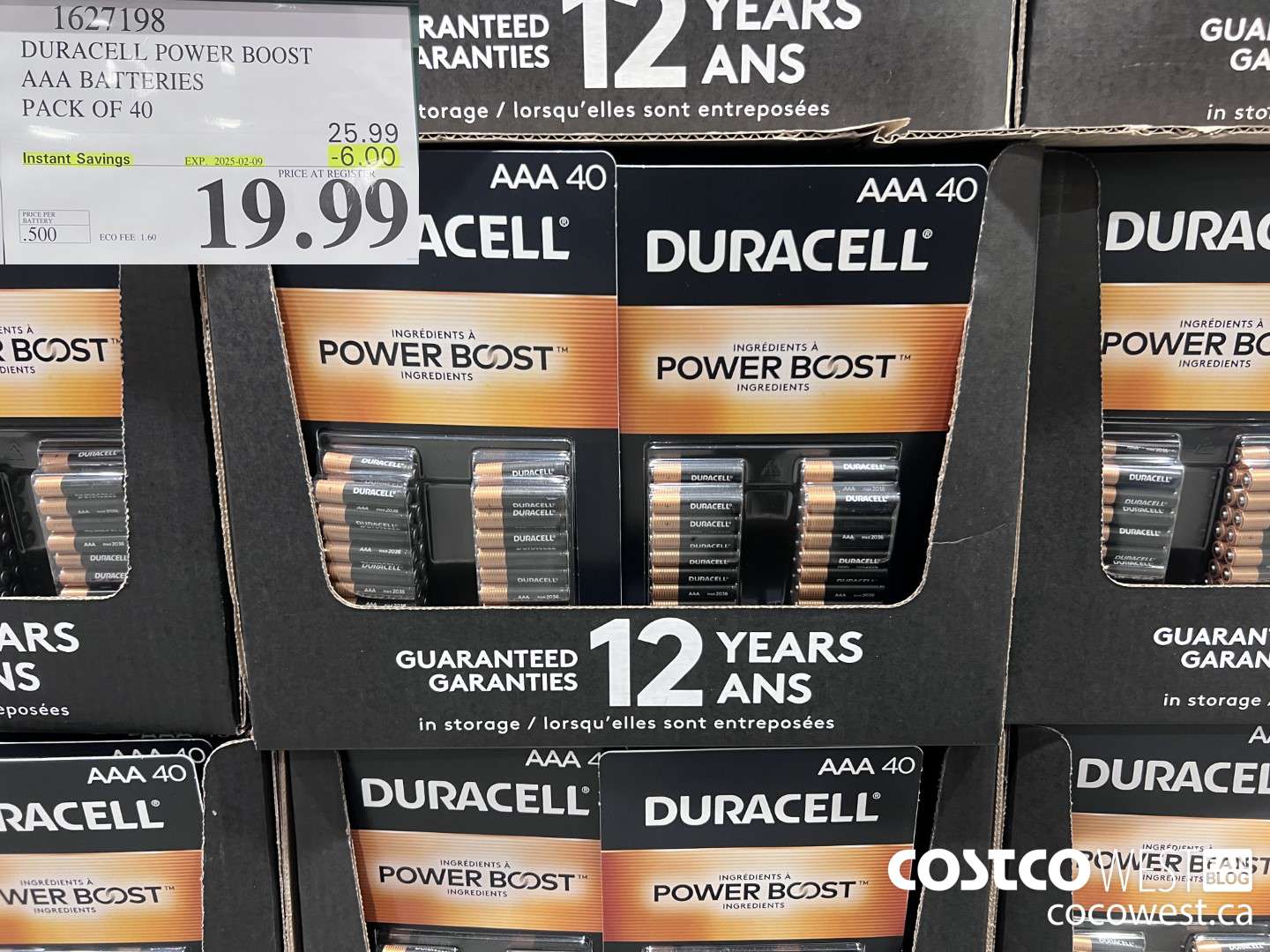 1627198 DURACELL POWER BOOST AAA BATTERIES PACK OF 40 ($6.00 INSTANT SAVINGS EXPIRES ON 2025-02-09) $19.99