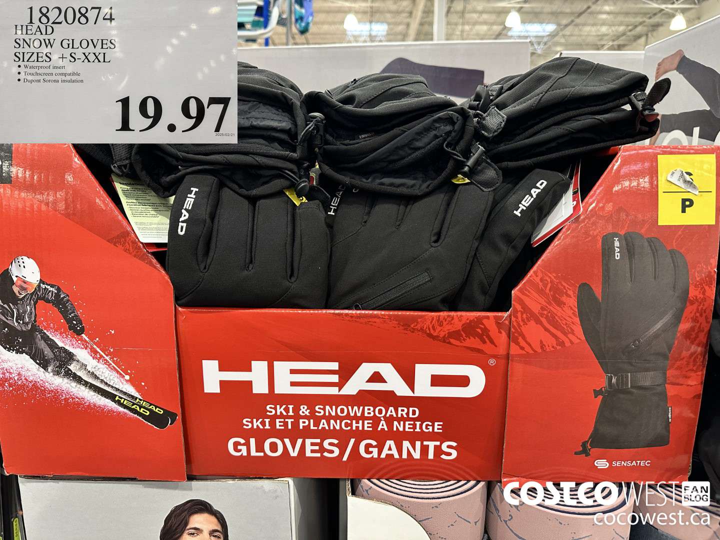 1820874 HEAD SNOW GLOVES SIZES S-XXL $19.97