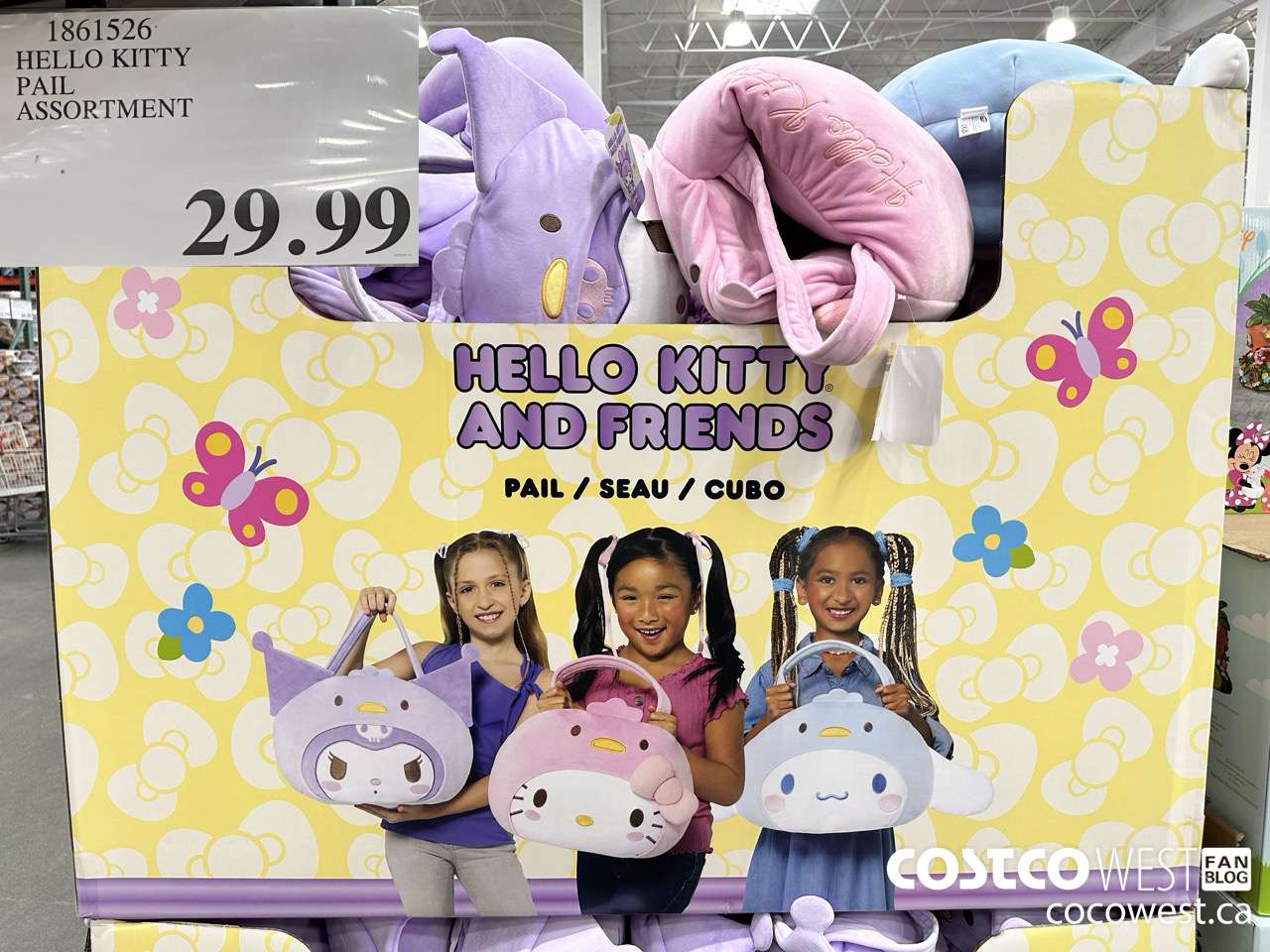 1861526 HELLO KITTY PAIL ASSORTMENT $29.99