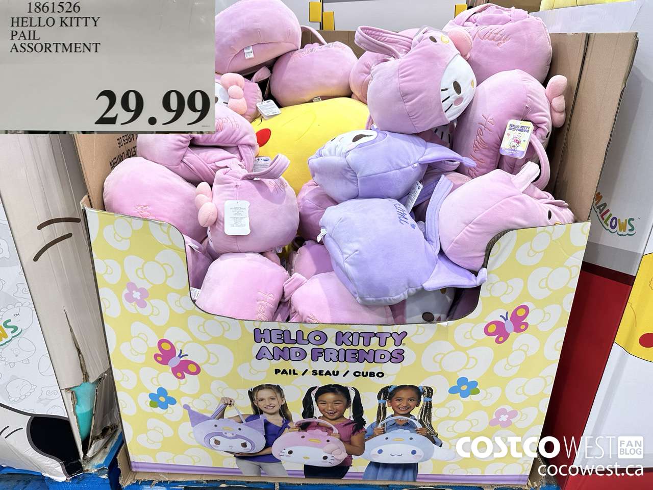 1861526 HELLO KITTY PAIL ASSORTMENT $29.99