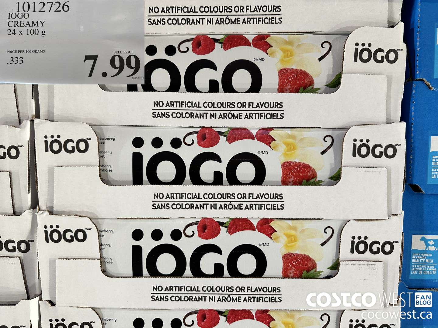 1012726 IOGO CREAMY 24 X 100G $7.99