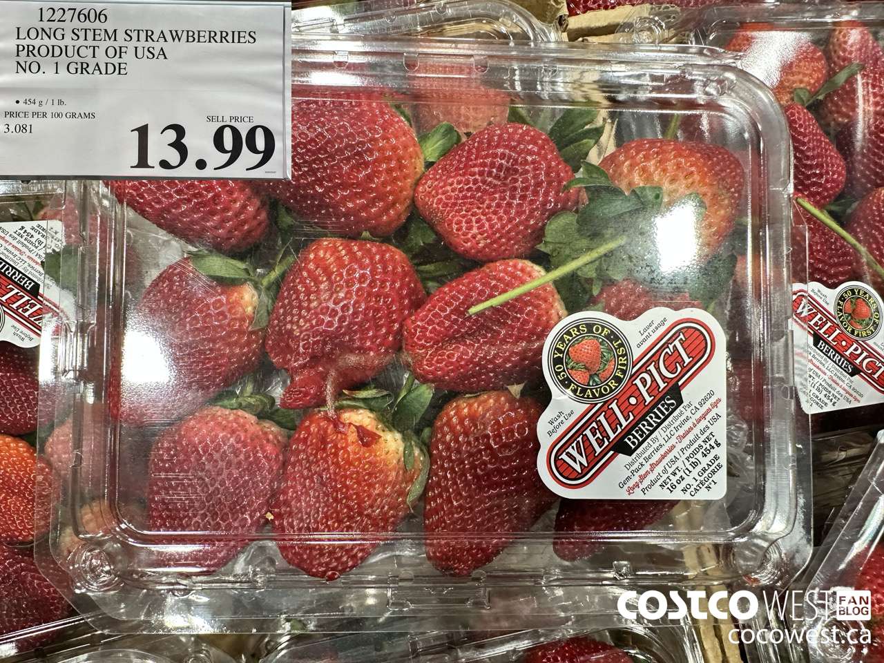 1227606 LONG STEM STRAWBERRIES PRODUCT OF USA NO 1 GRADE $13.99