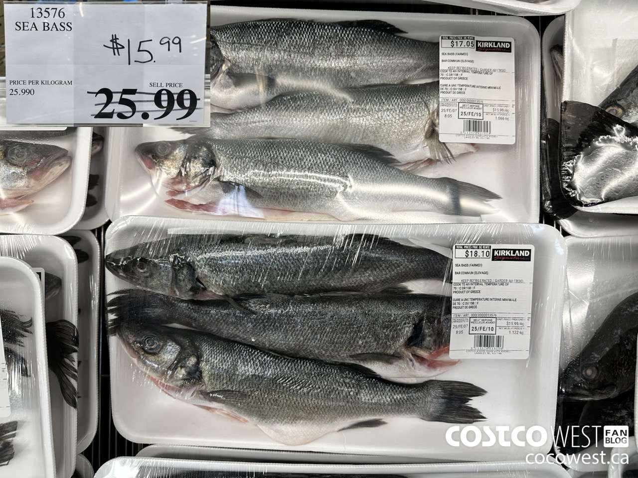 13576 SEA BASS (FARMED) $15.99