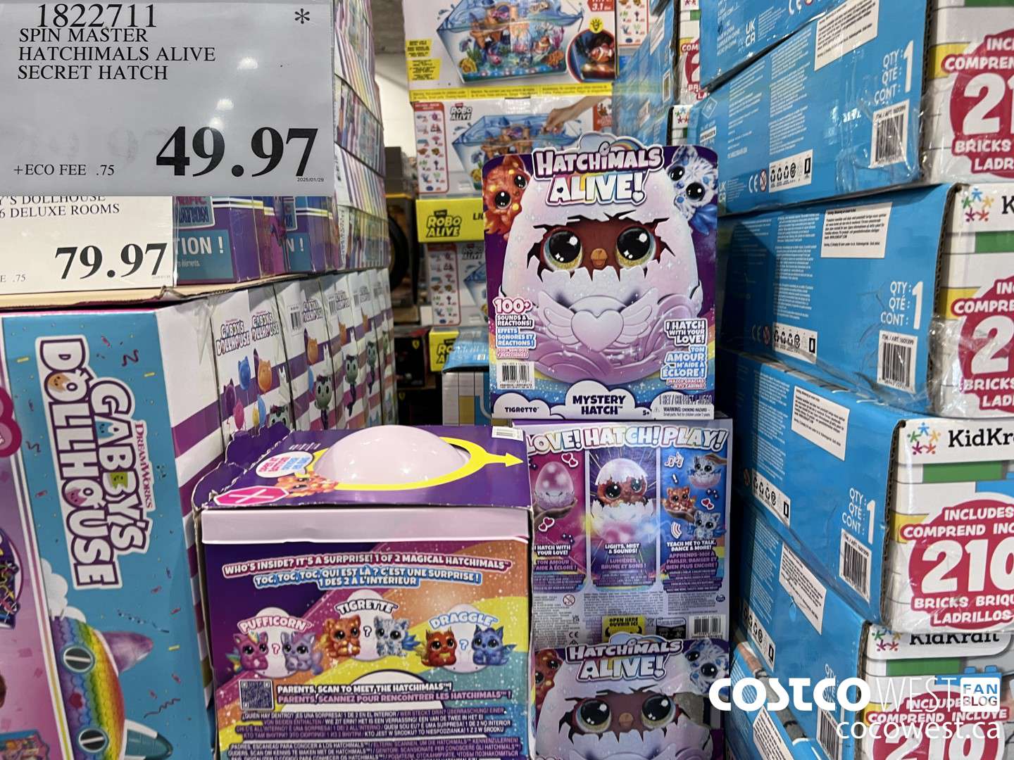 1822711 SPIN MASTER HATCHIMALS ALIVE SECRET HATCH $49.97