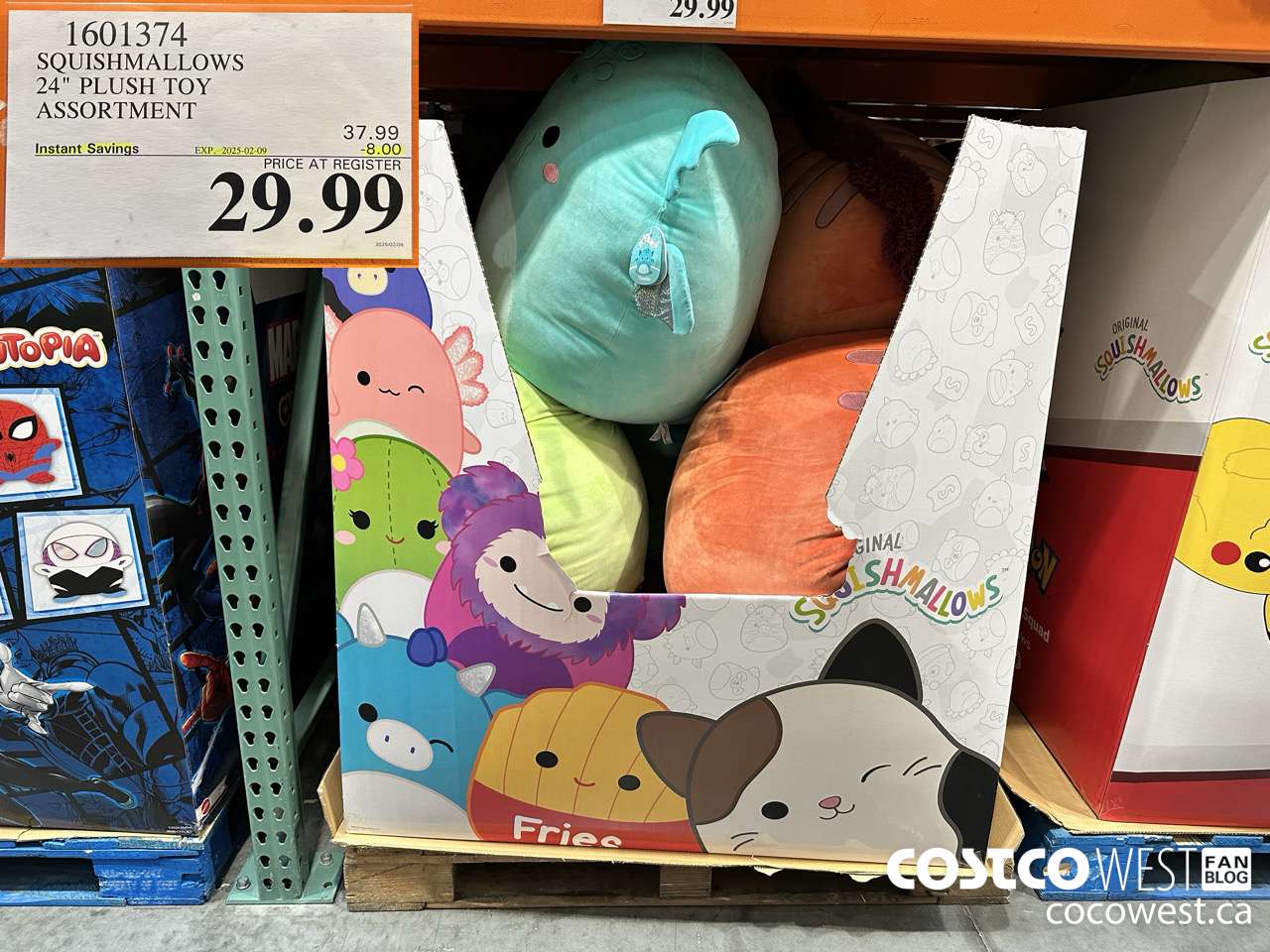 1601374 SQUISHMALLOWS 24